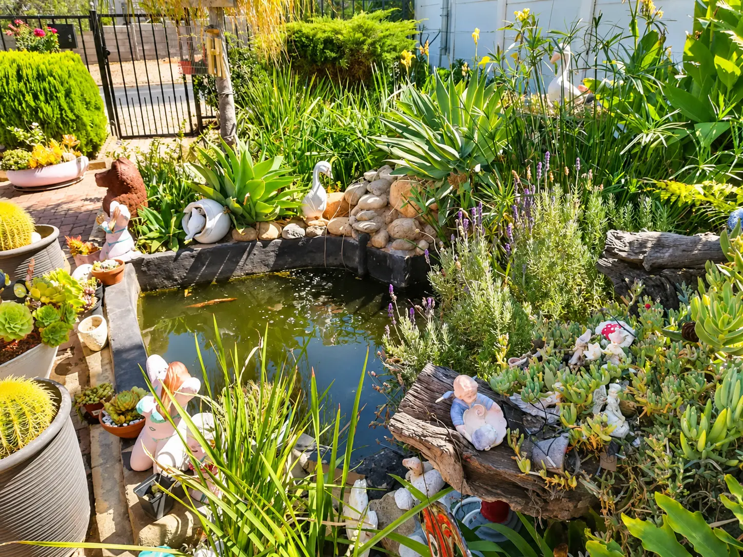 Garden pond with rockery, lavender and succulents