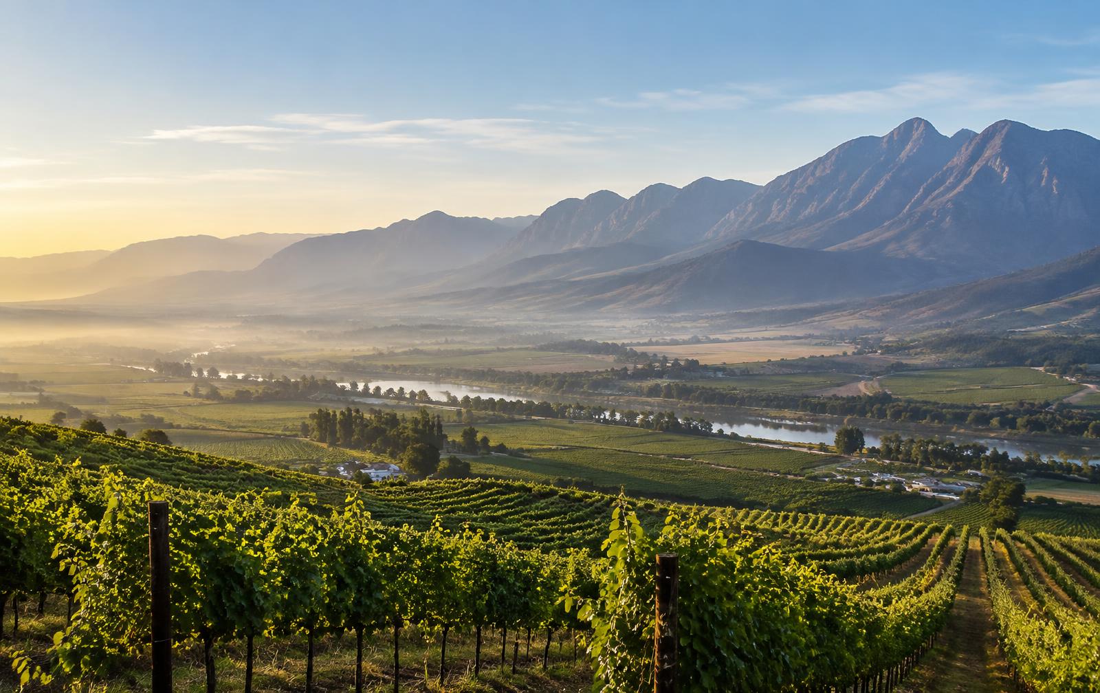 Breede Valley vineyards and mountains near Worcester